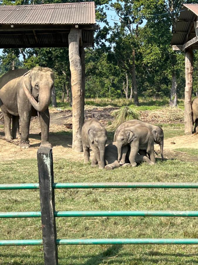 Chitwan Park Village 3* Sauraha